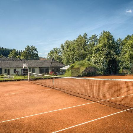 Penzion U Dracice Hotel Nová Bystřice Eksteriør billede