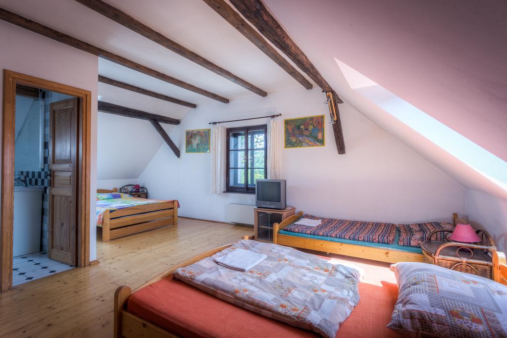 Penzion U Dracice Hotel Nová Bystřice Eksteriør billede